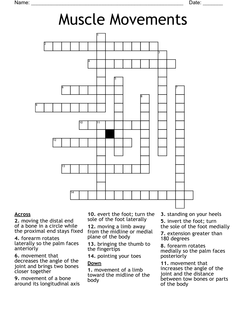Muscle Movements Crossword