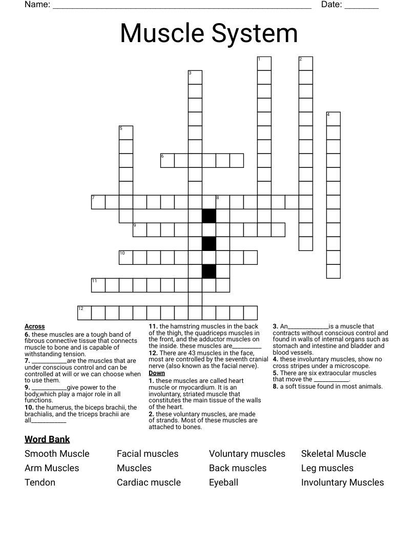 Muscle System Crossword