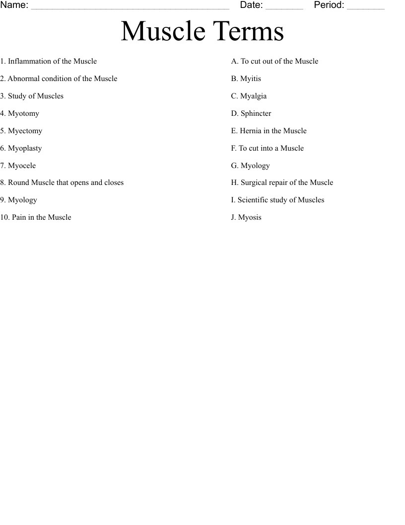 Muscle Terms Worksheet