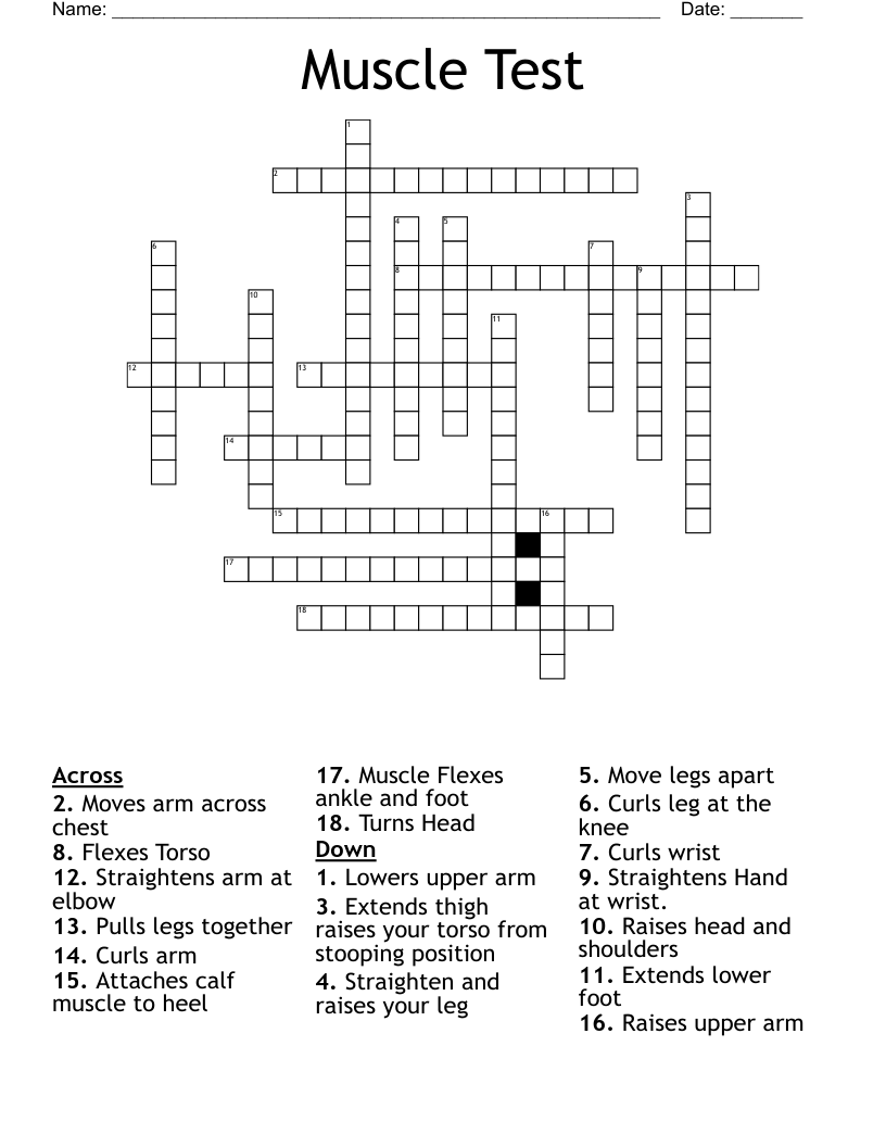 Muscle Test Crossword
