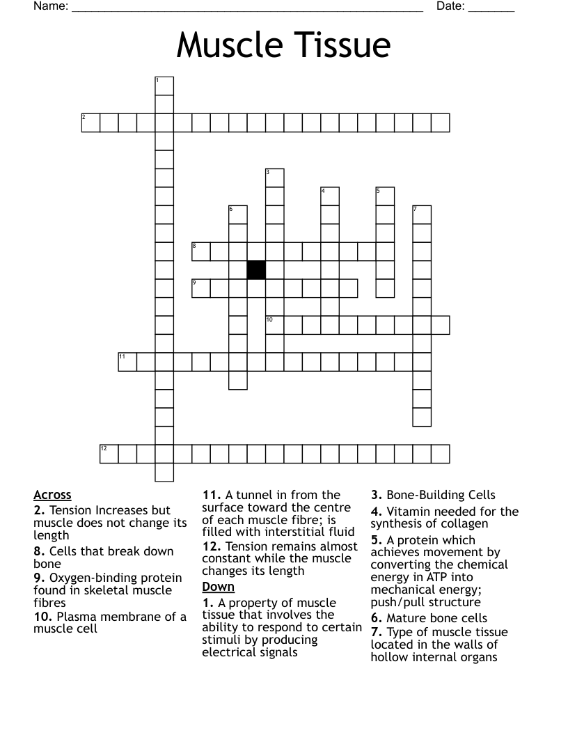 Muscle Tissue Crossword