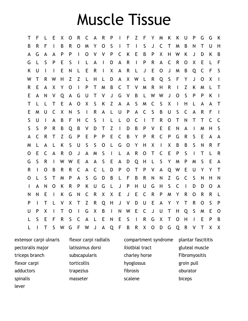 Muscle Tissue  Word Search
