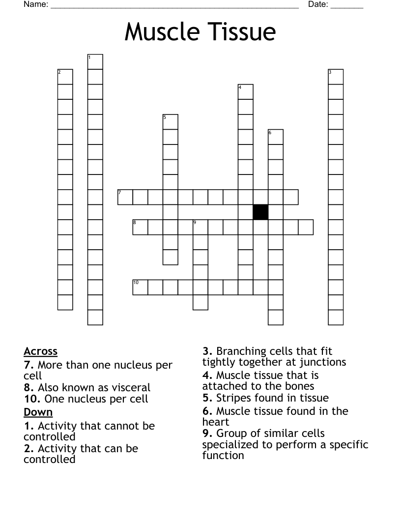 Muscle Tissue  Crossword