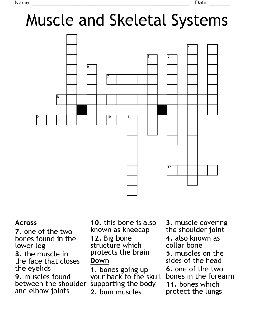 Muscle and Skeletal Systems Crossword