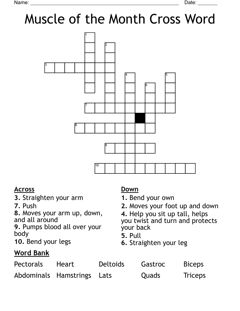 Muscle of the Month Cross Word