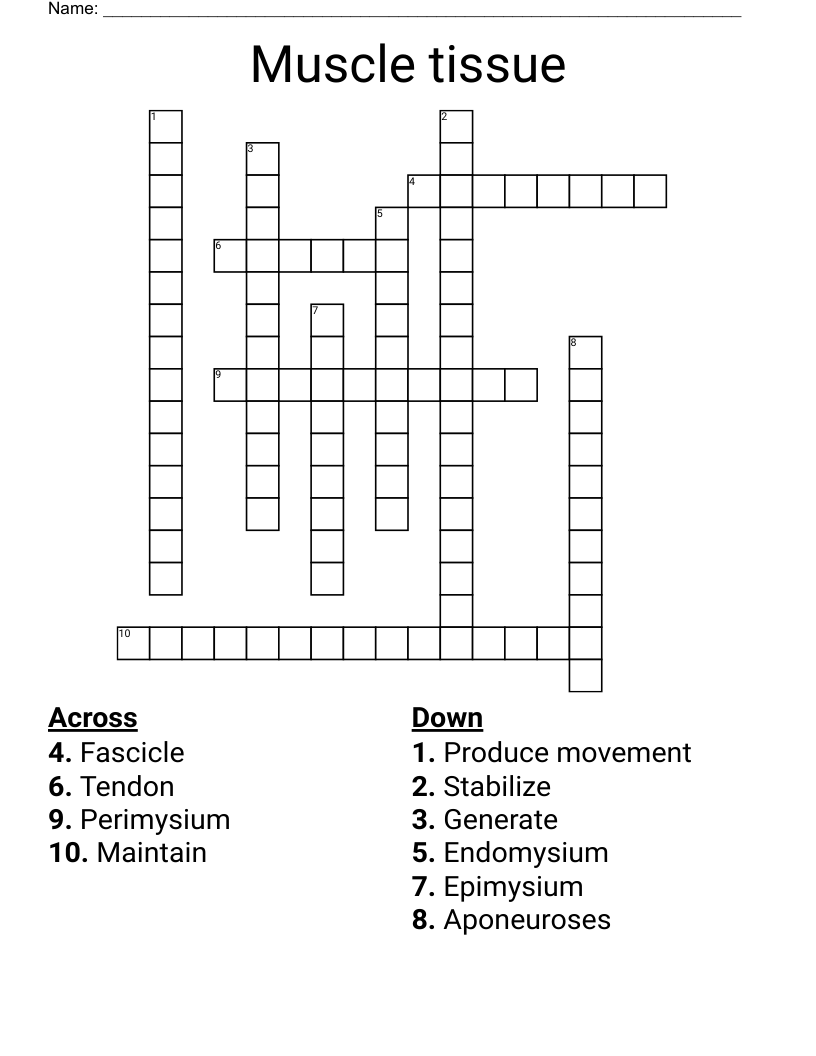 Muscle tissue Crossword