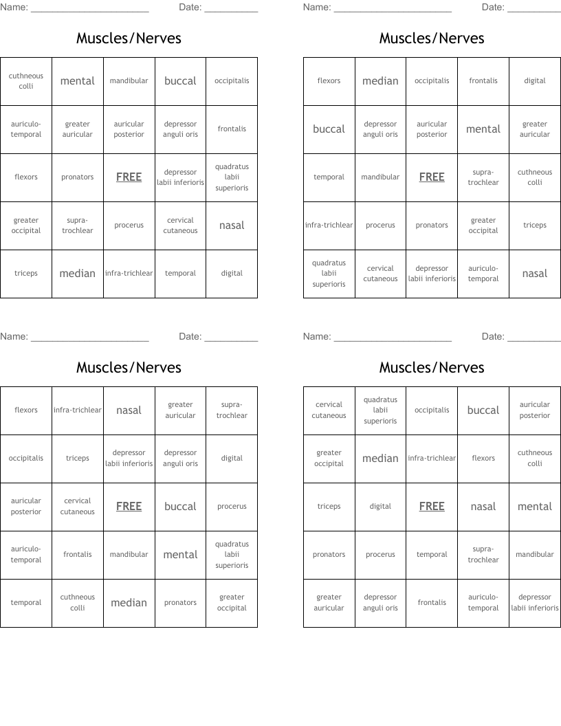 Muscles/Nerves Bingo Cards