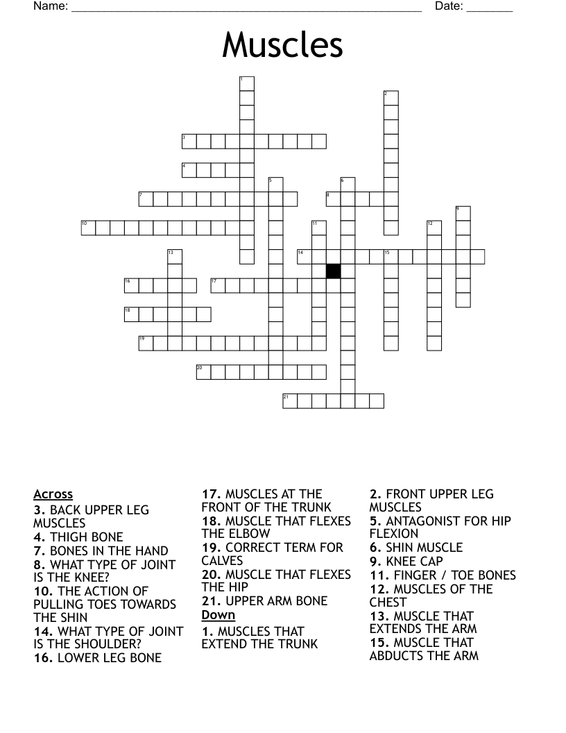Muscles Crossword