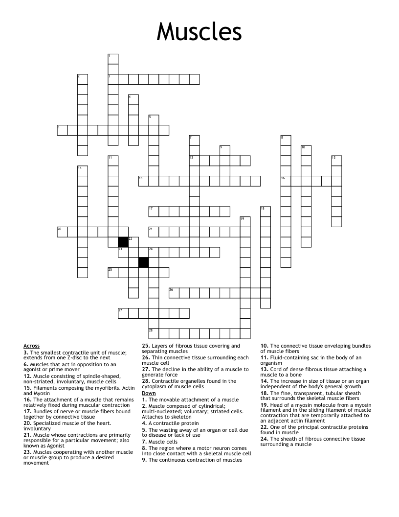Muscles Crossword