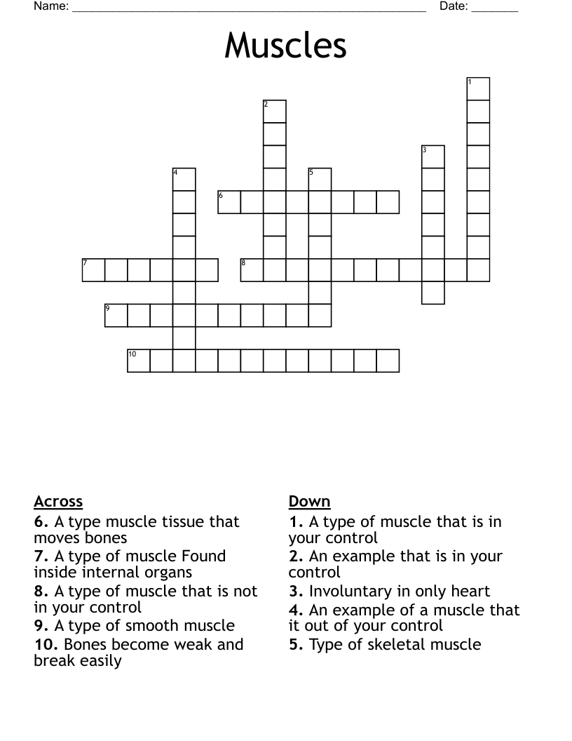 Muscles Crossword