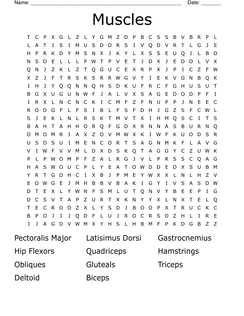 Muscles Word Search