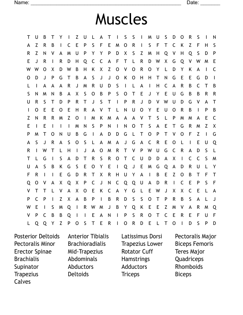 Muscles Word Search