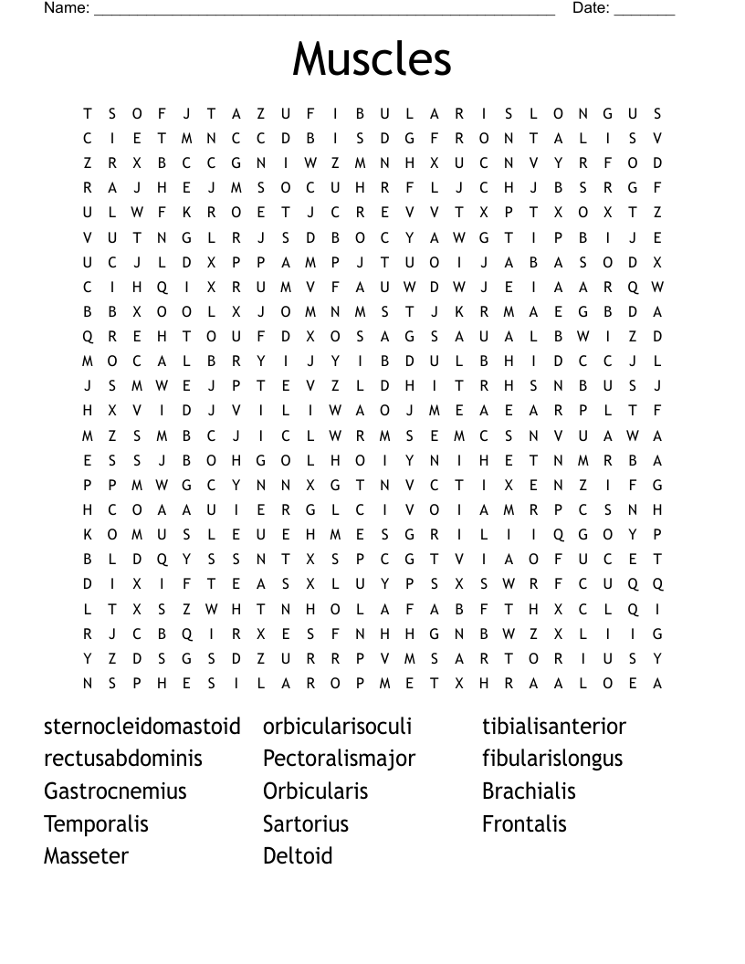 Muscles Word Search