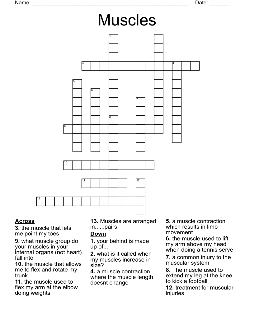Muscles Crossword