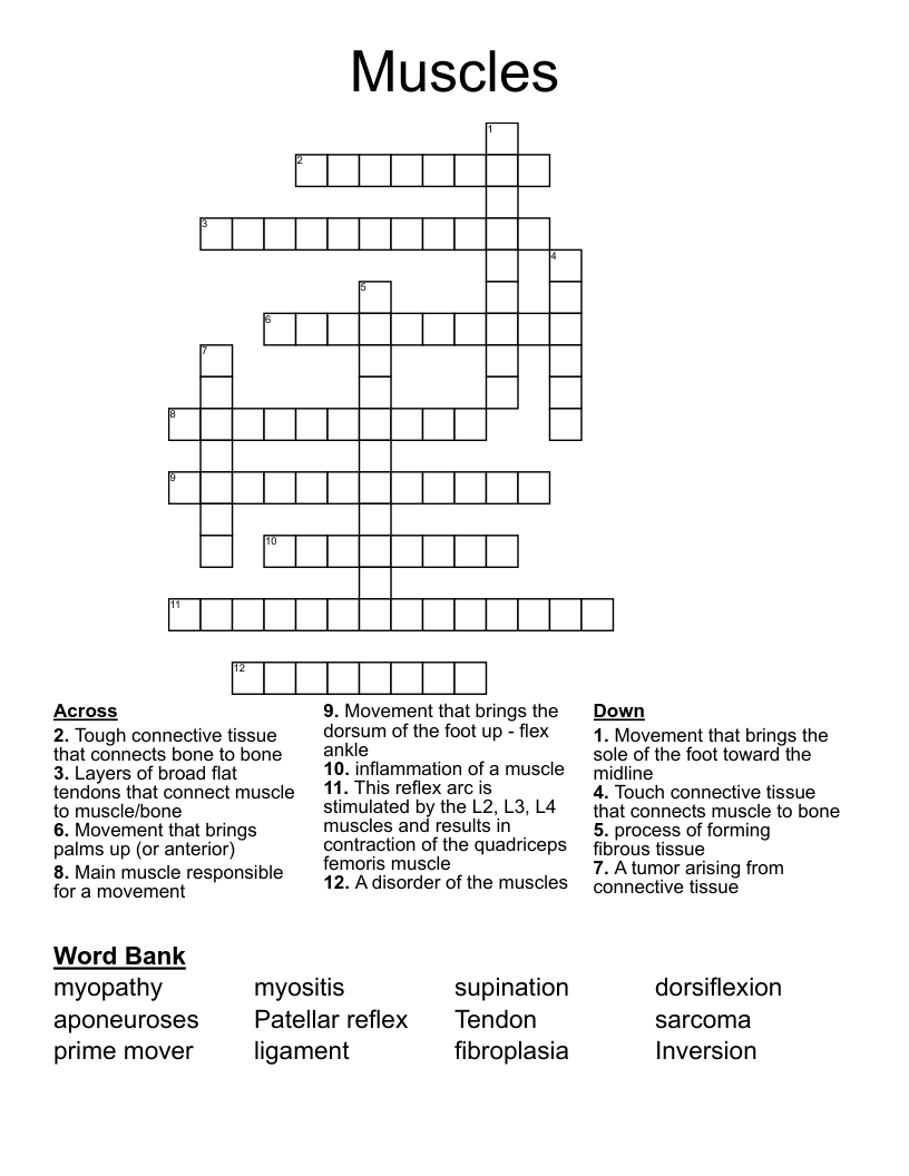Muscles Crossword