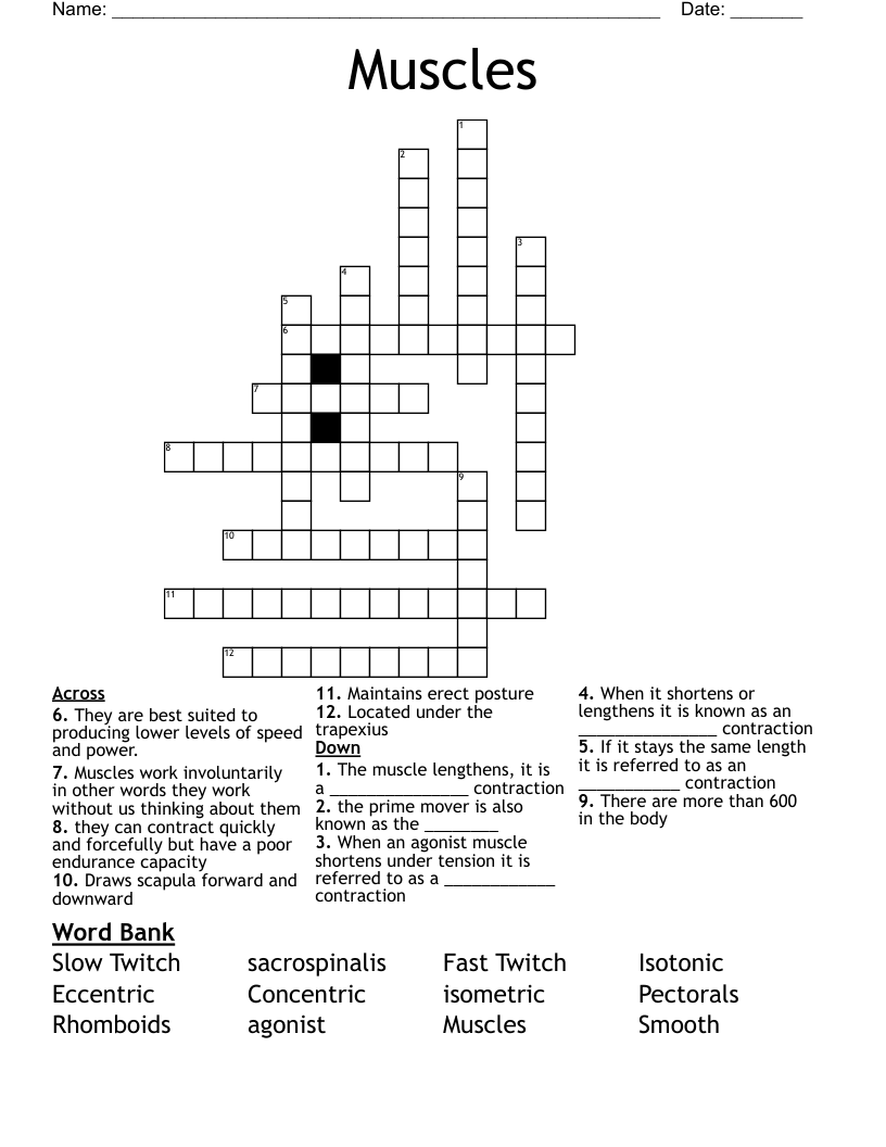 Muscles Crossword
