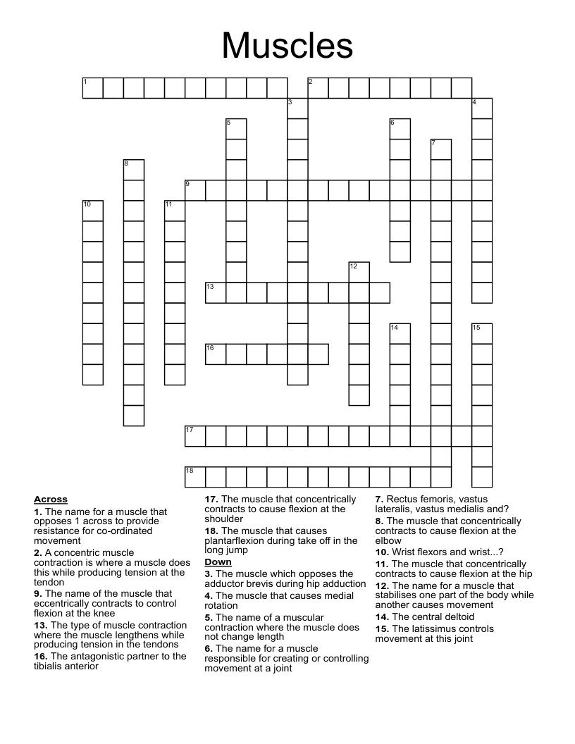 Muscles Crossword
