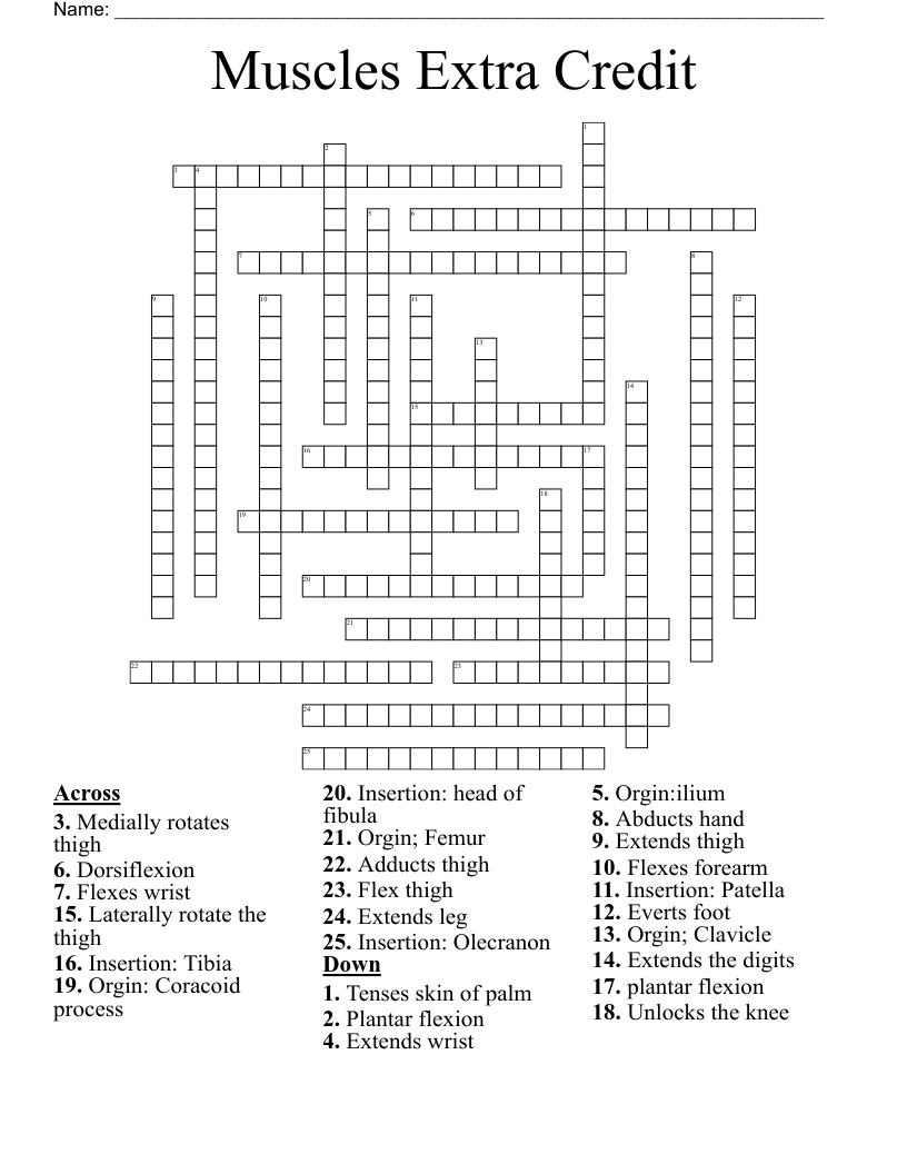 Muscles Extra Credit Crossword