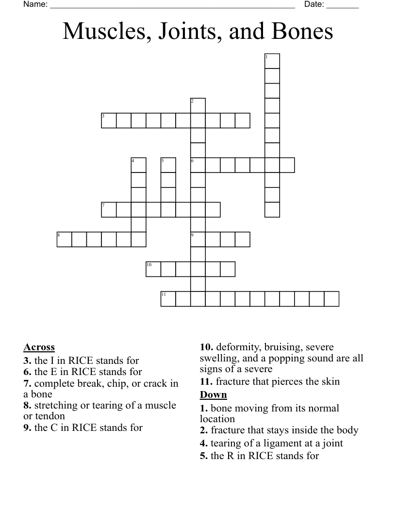 Muscles, Joints, and Bones Crossword