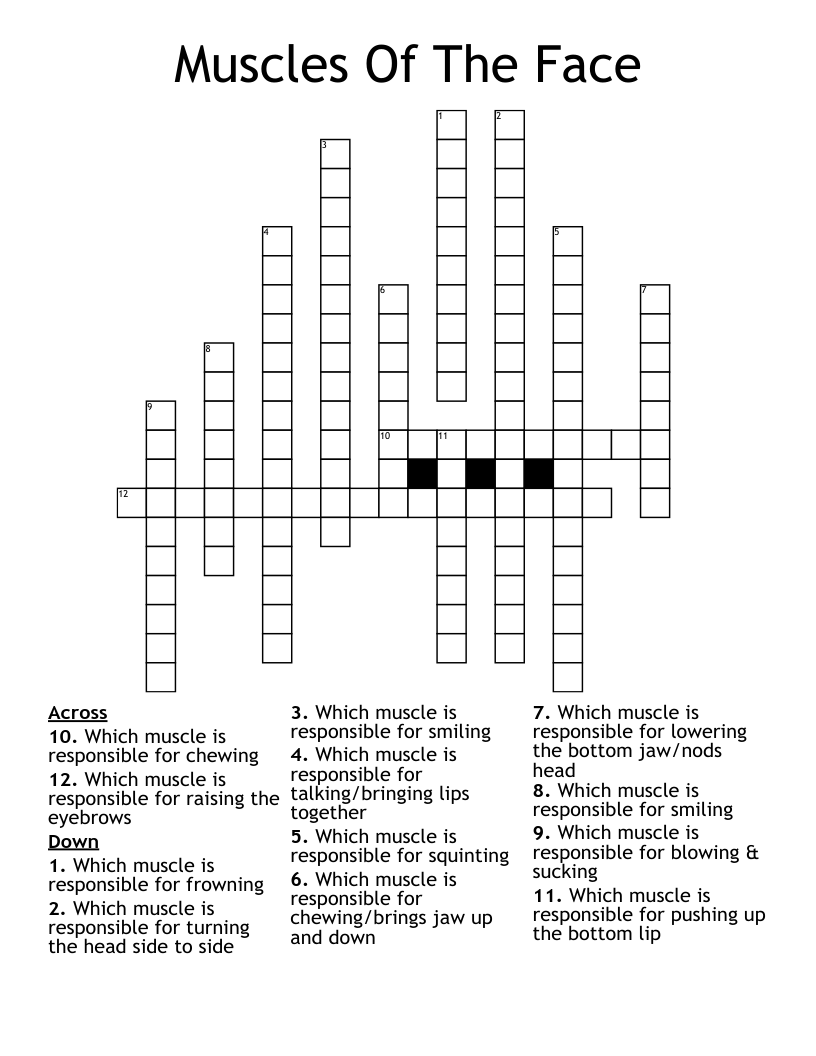 Muscles Of The Face Crossword
