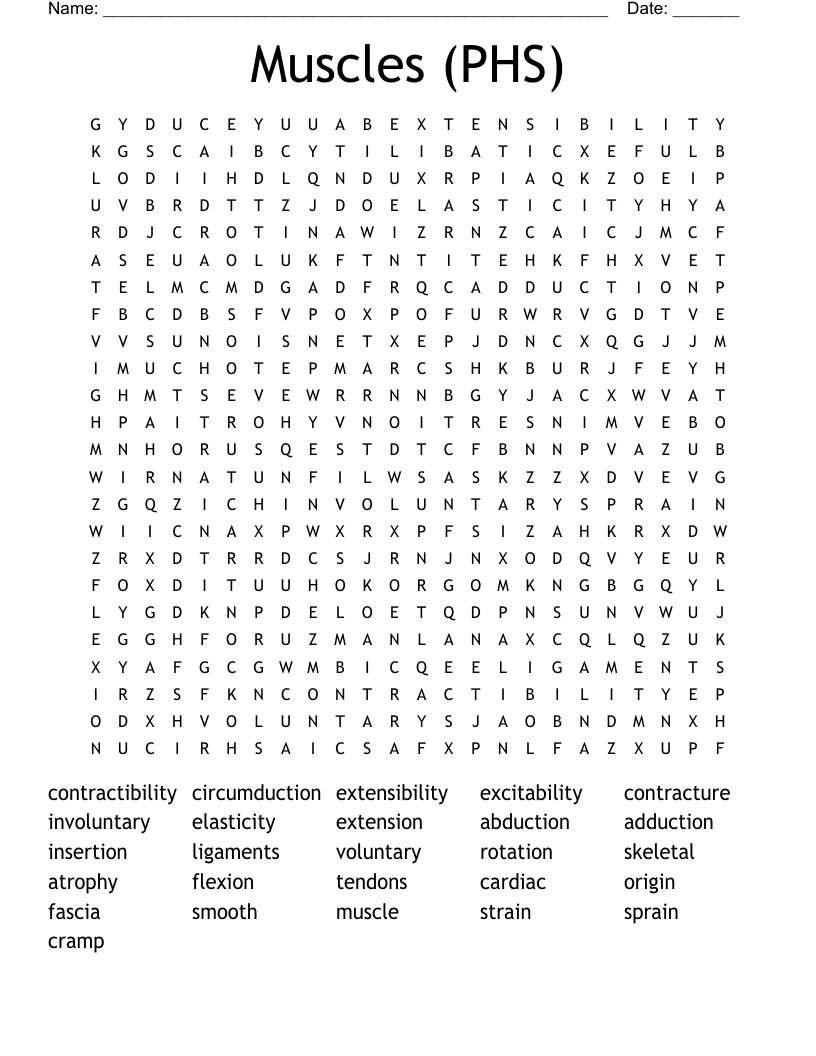 Muscles (PHS) Word Search