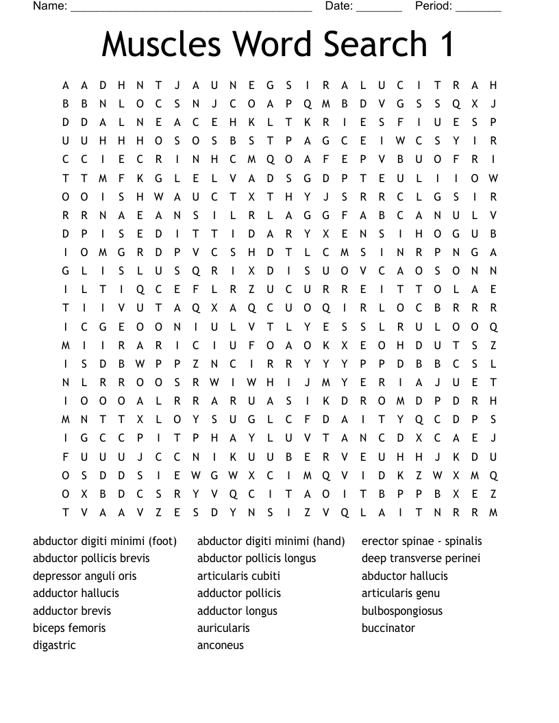 Muscles Word Search 1
