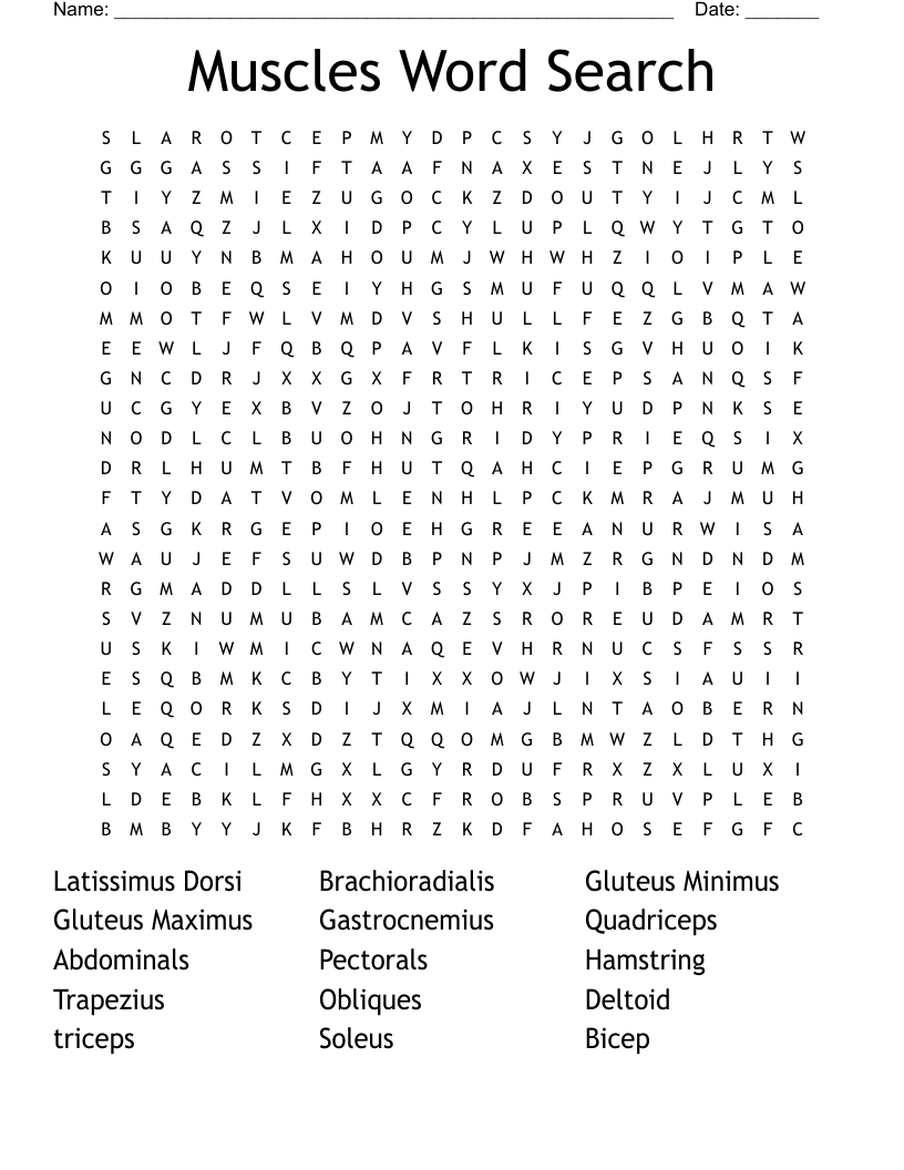 Muscles Word Search 