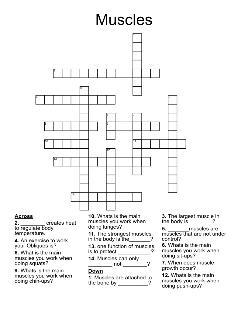 Muscles  Crossword