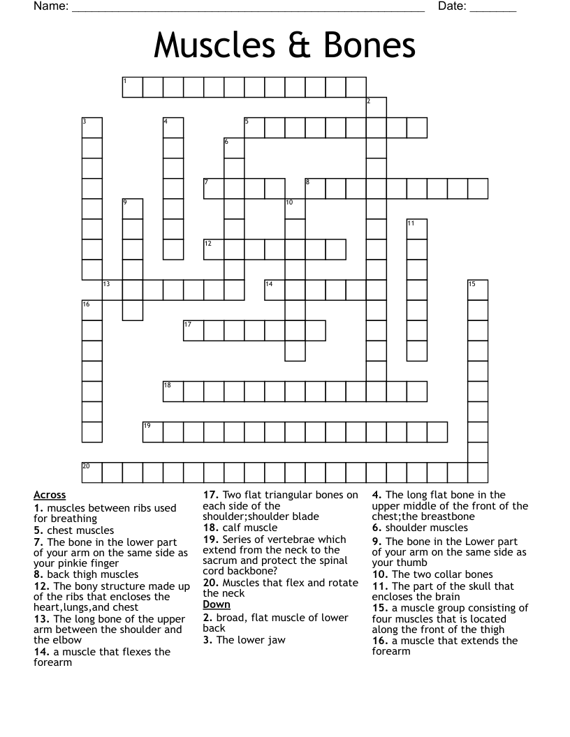 Muscles & Bones Crossword
