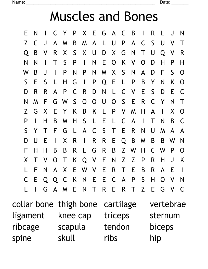 Muscles and Bones Word Search