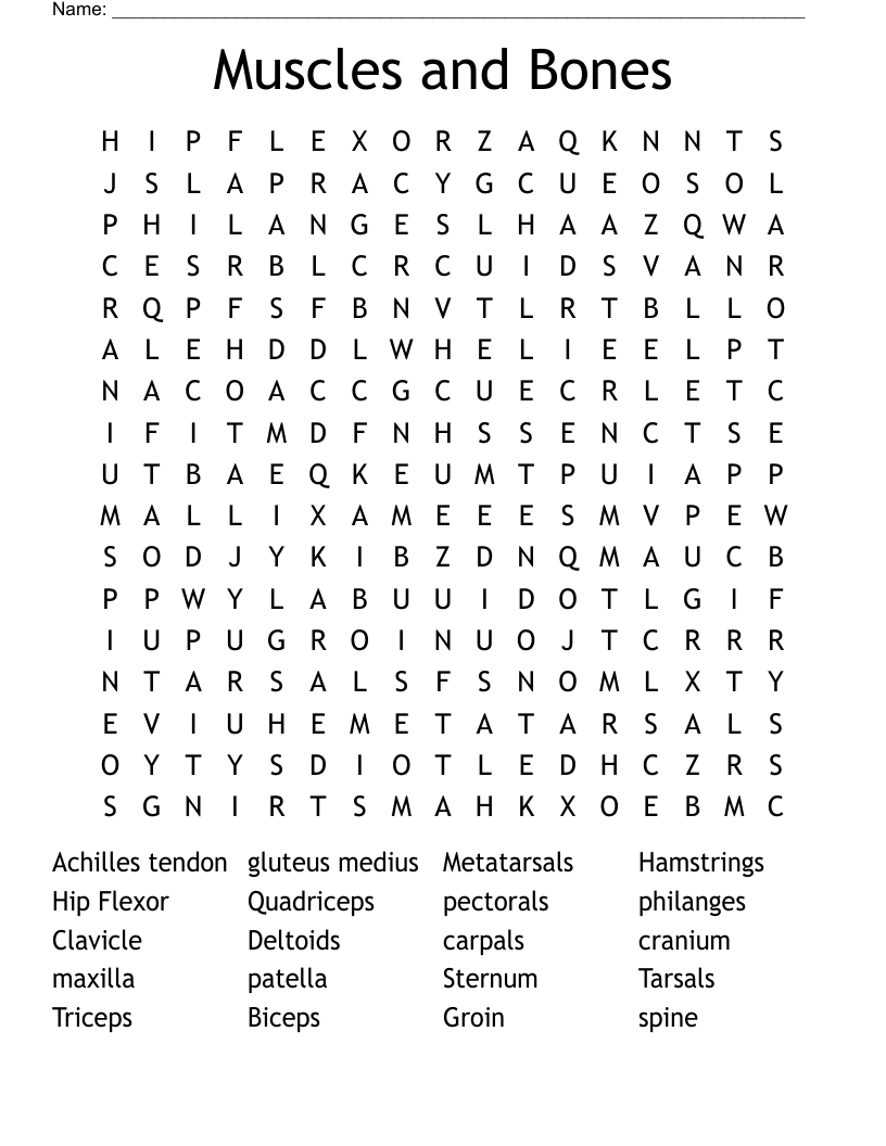 Muscles and Bones Word Search