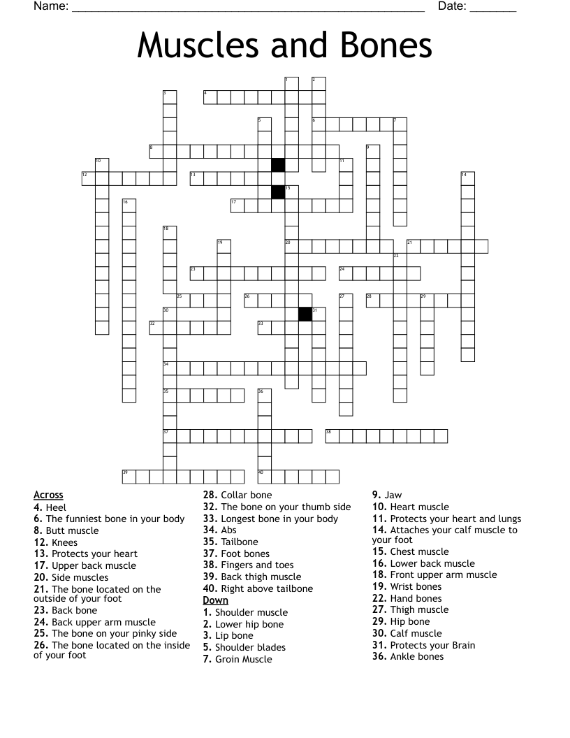 Muscles and Bones Crossword