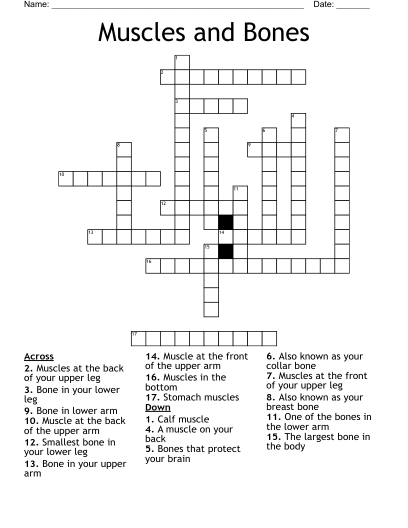 Muscles and Bones Crossword