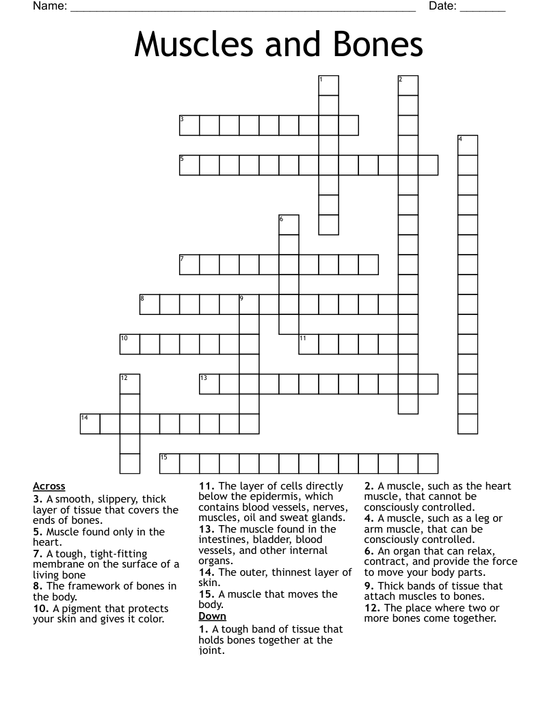 Muscles and Bones Crossword