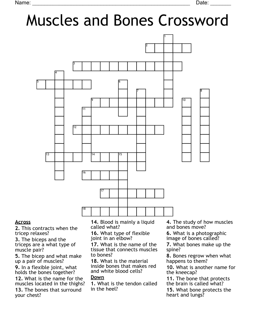 Muscles and Bones Crossword