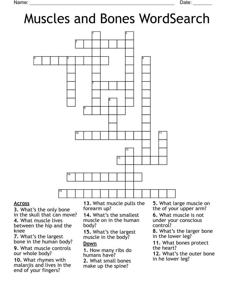 Muscles and Bones WordSearch Crossword