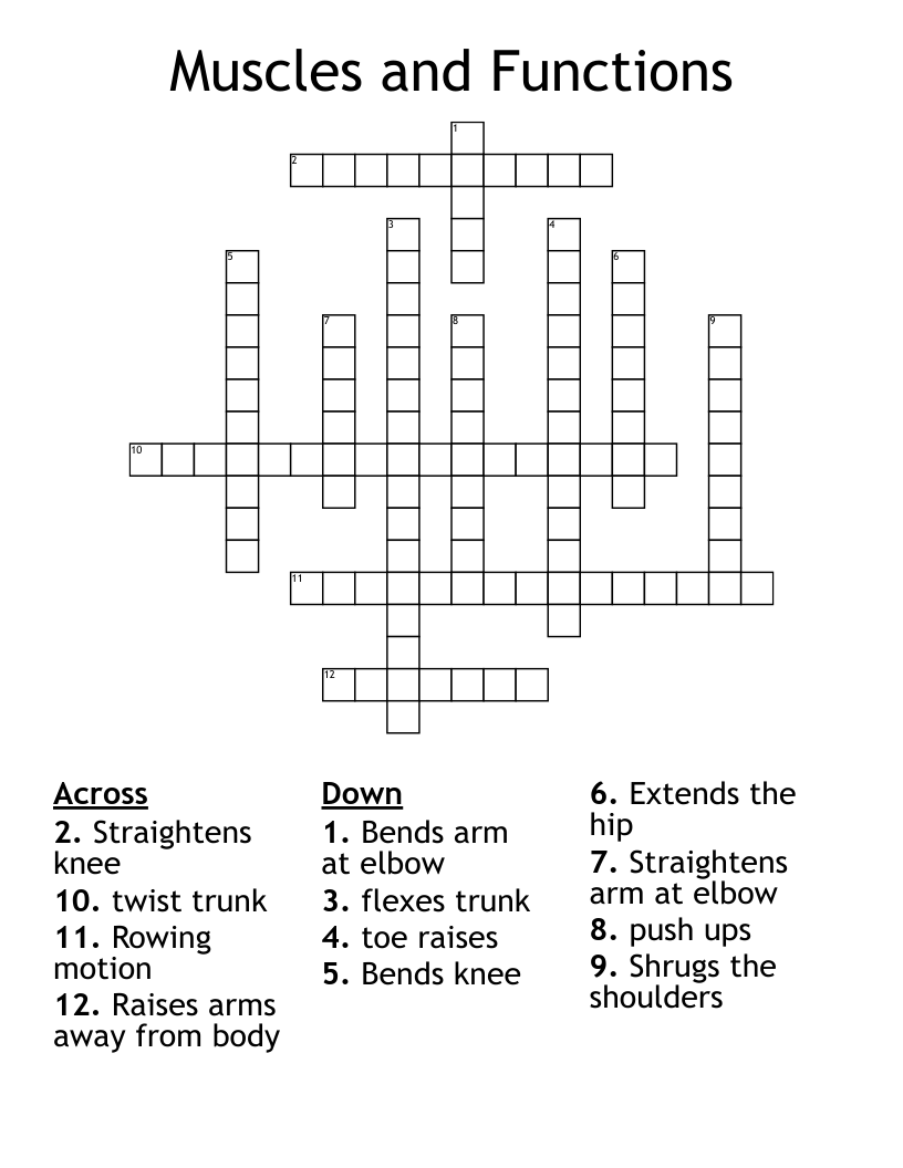 Muscles and Functions Crossword