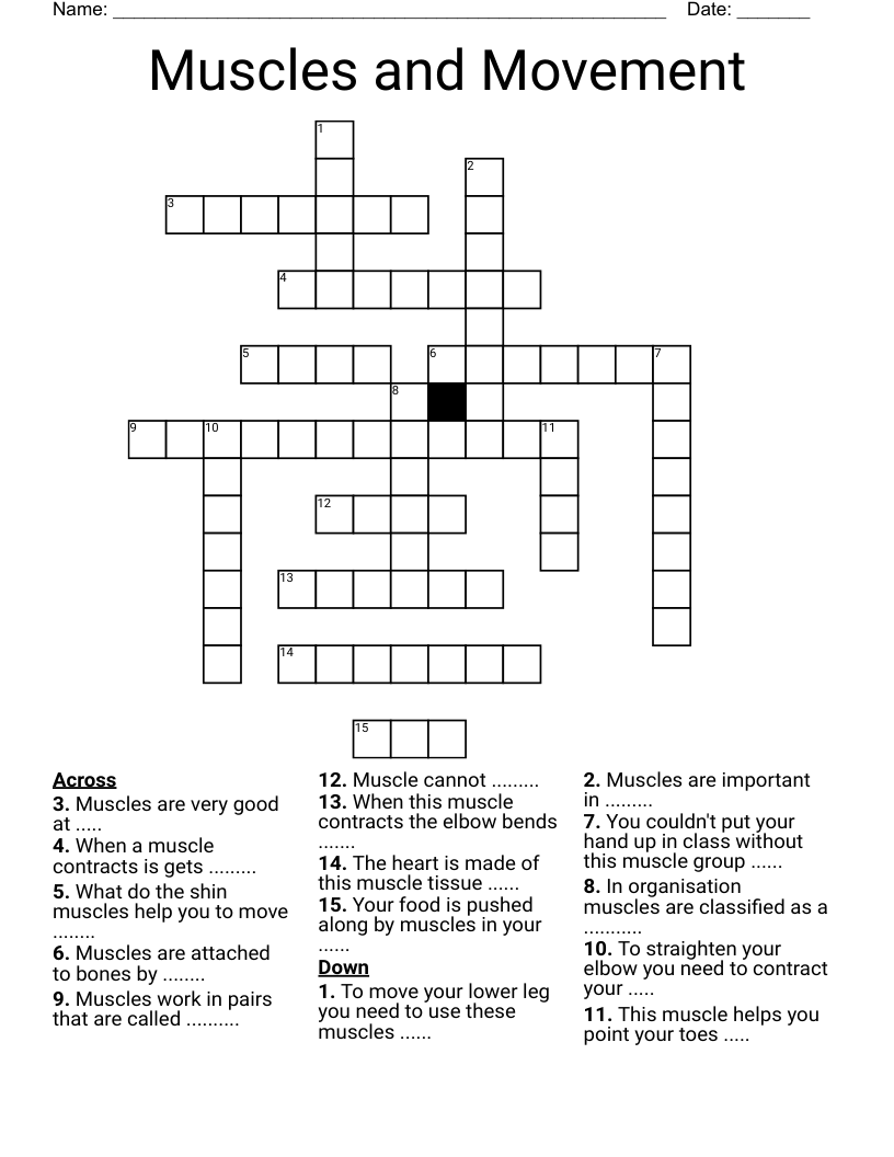 Muscles and Movement Crossword