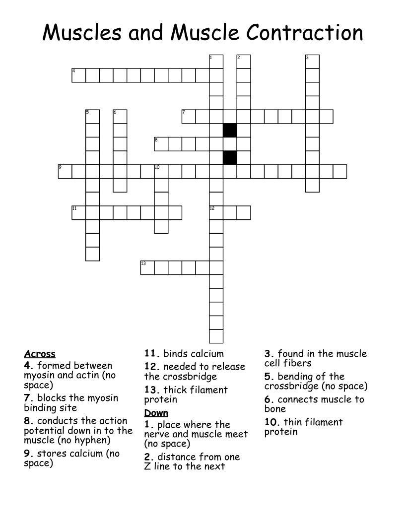 Muscles and Muscle Contraction Crossword