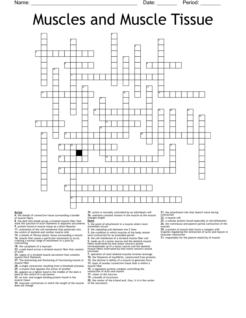 Muscles and Muscle Tissue Crossword