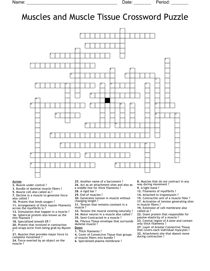 Muscles and Muscle Tissue Crossword Puzzle