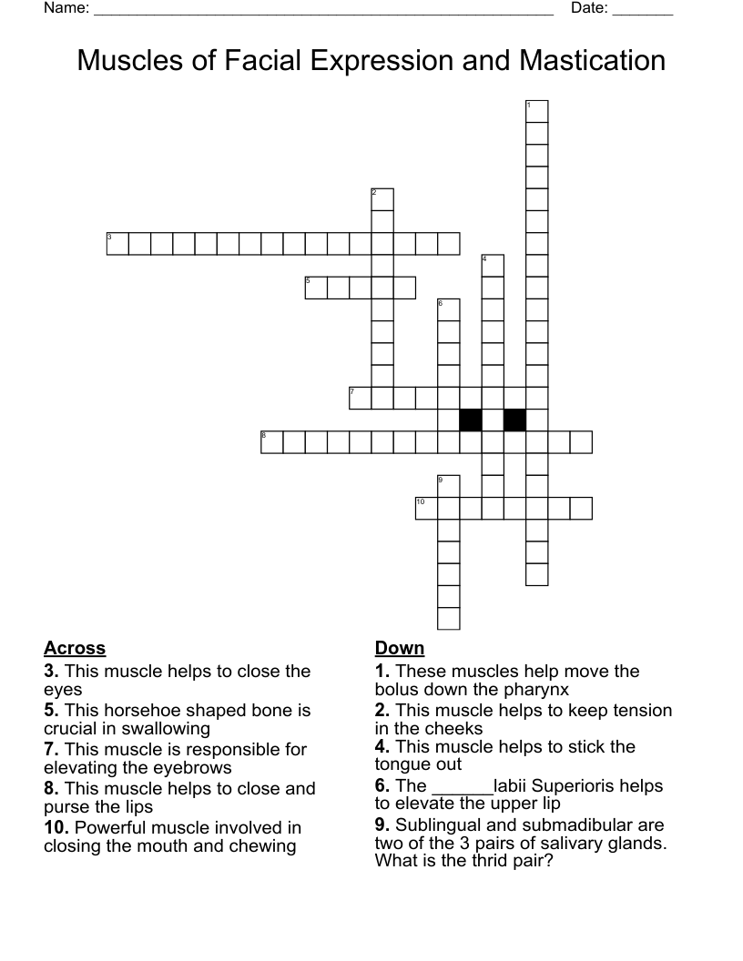 Muscles of Facial Expression and Mastication Crossword