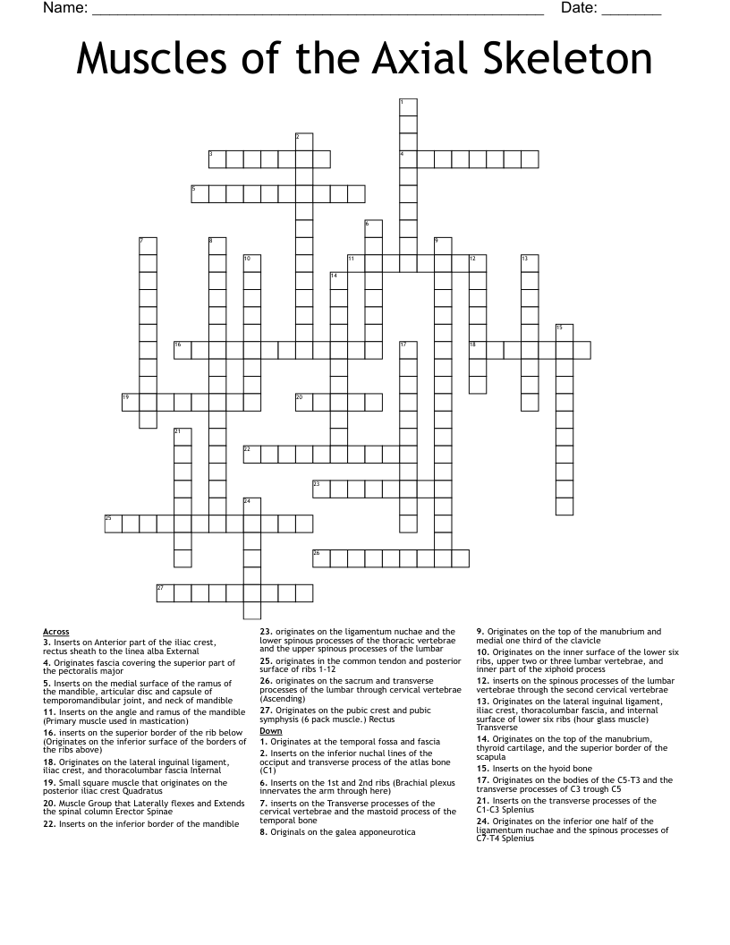 Muscles of the Axial Skeleton Crossword