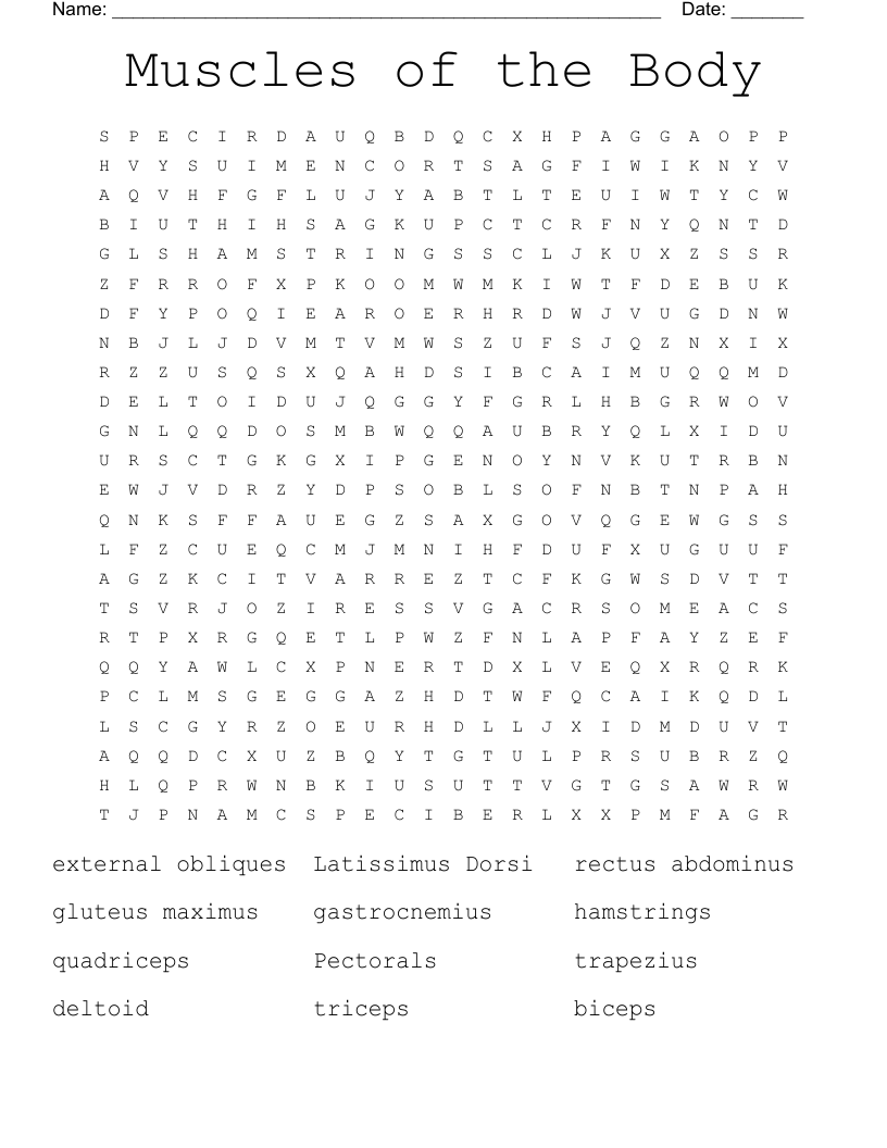 Muscles of the Body Word Search