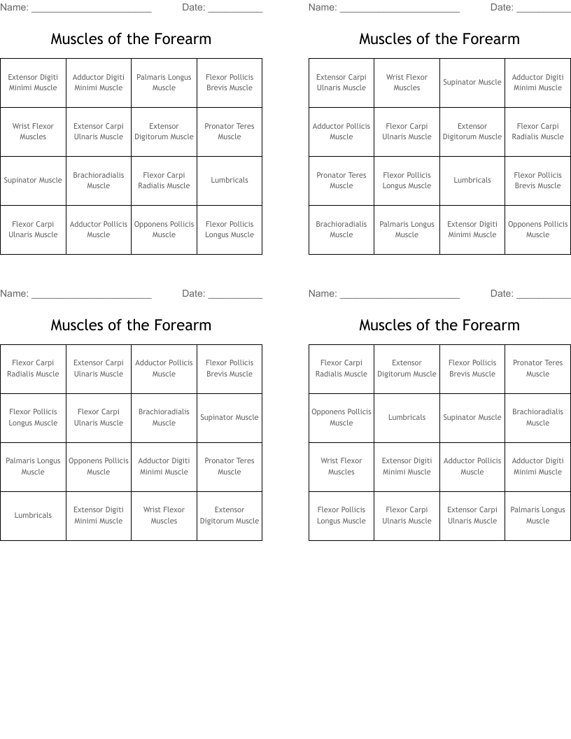 Muscles of the Forearm Bingo Cards