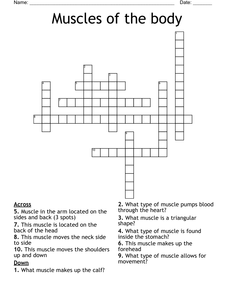 Muscles of the body Crossword
