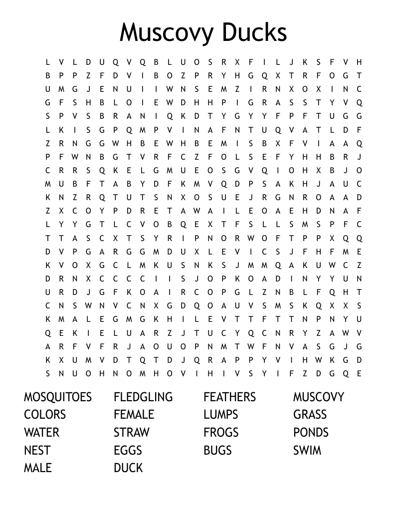 Muscovy Ducks Word Search