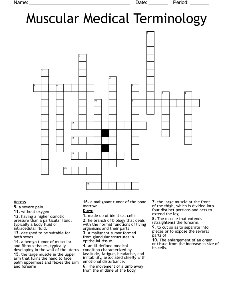 Muscular Medical Terminology  Crossword