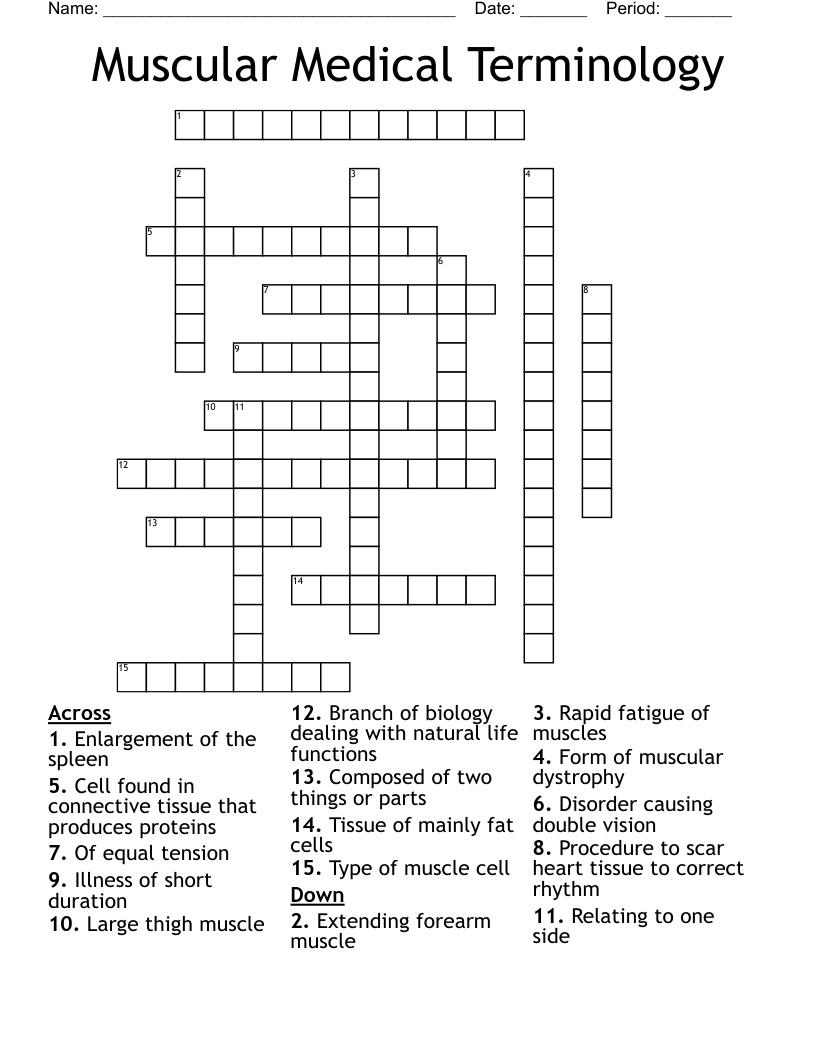 Muscular Medical Terminology  Crossword