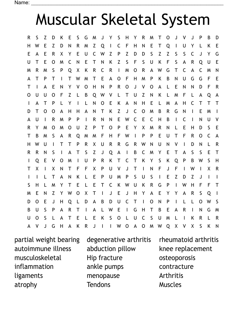 Muscular Skeletal System Word Search